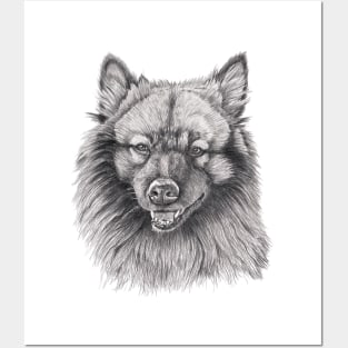 Keeshond Posters and Art